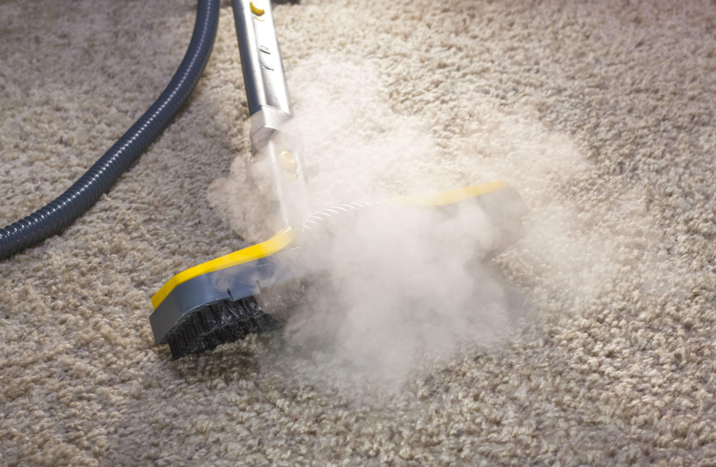 Carpet Cleaning Melbourne