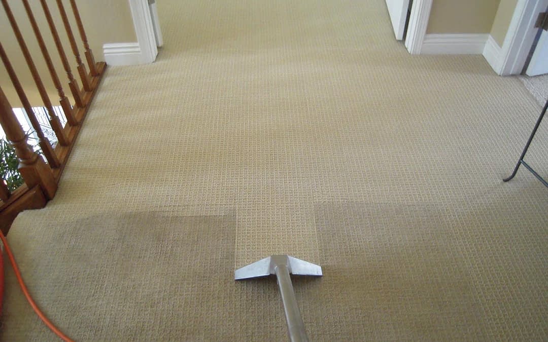 Carpet Cleaning Services 